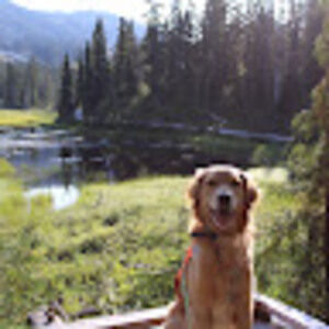 Meet your Posher, Leo